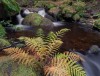 Peak District Landscapes Selection 1 (Pack of 5)