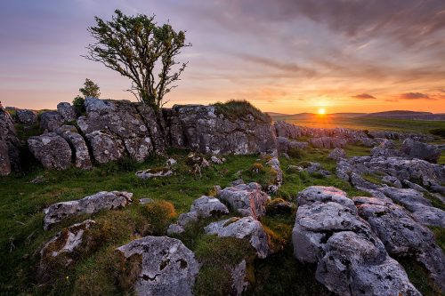 Limestone Pavement Sunset