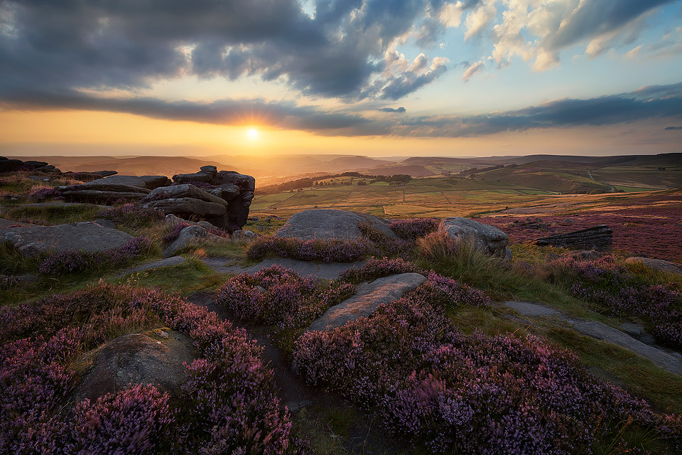 Over Owler Tor Heather