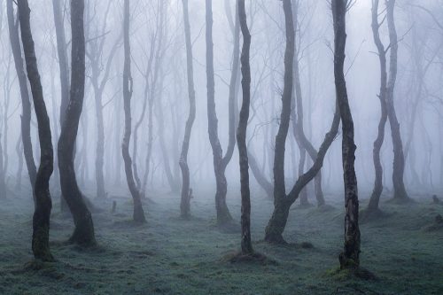 Bolehill Quarry - Peak District Photography