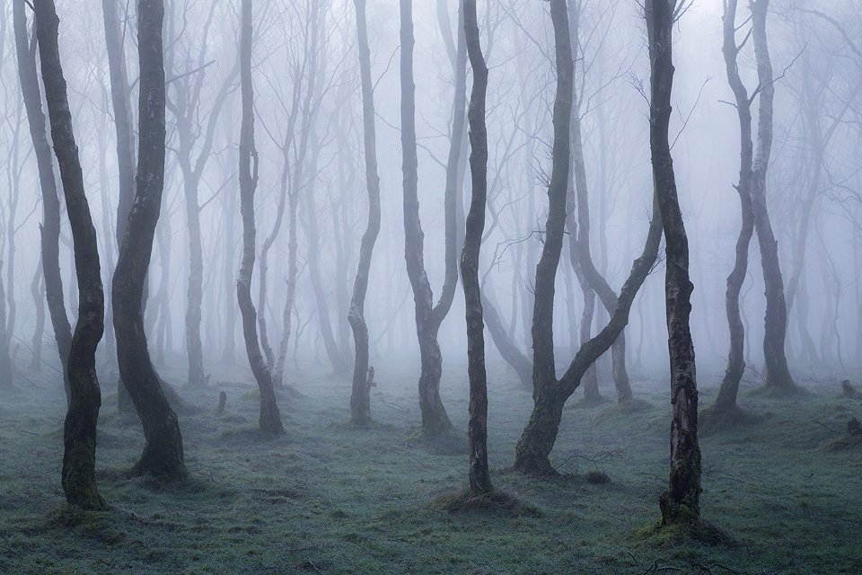 Bolehill Quarry - Peak District Photography