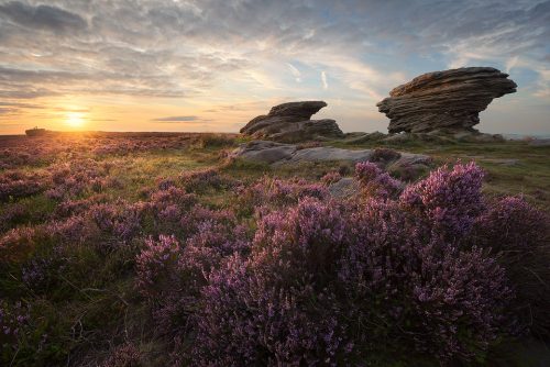 Burbage Moor - Ox Stones