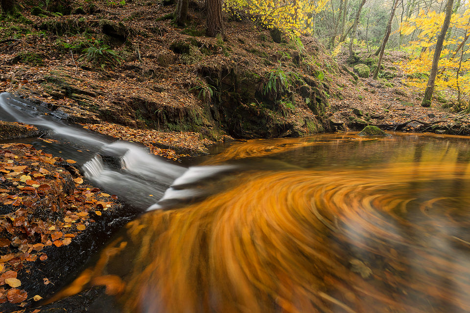 A hidden pool covered with vibrant swirling beech leaves, Beeley Brook, Peak District National Park. Here I used a long exposure to show the autumn leaves as they flowed around this large pool. About Beeley Brook: Beeley Brook runs through the Hell Bank plantation in the Derbyshire Peak District. Rarely visited, the waterfalls are hard to access down the steep sided banks. During Autumn the plantation really comes alive with an explosion of colour and I spent some time photographing the many impressive waterfalls along the whole length of the brook.