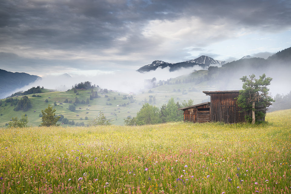 A rustic wooden hay barn in a beautiful Alpine wildflower meadow. We were treated to several misty mornings like this during the trip, a landscape photographers paradise! Western Tirol, Austria.